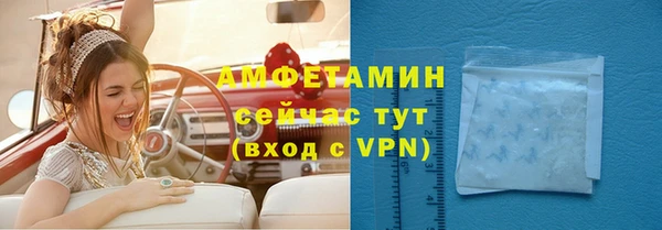 шишки Нея
