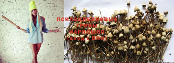 Альфа ПВП Надым