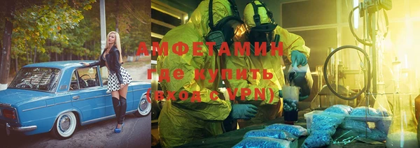 шишки Нея