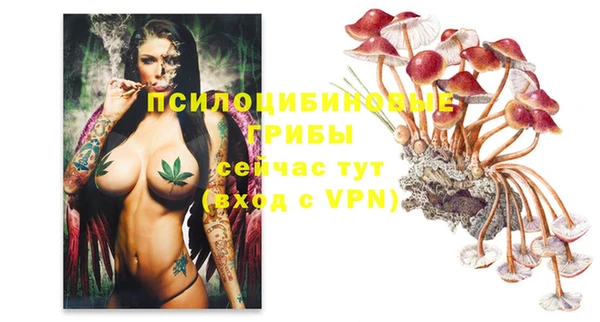 тгк Нефтекумск