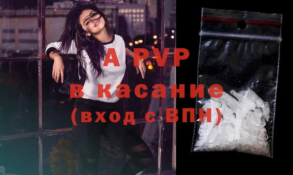 шишки Нея