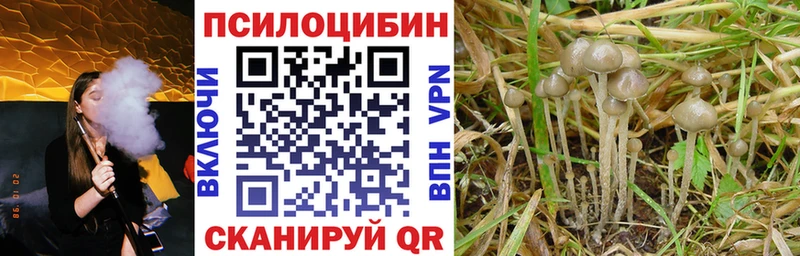 Галлюциногенные грибы MAGIC MUSHROOMS  Купить где  Щучье 